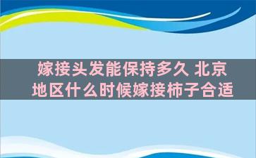 嫁接头发能保持多久 北京地区什么时候嫁接柿子合适